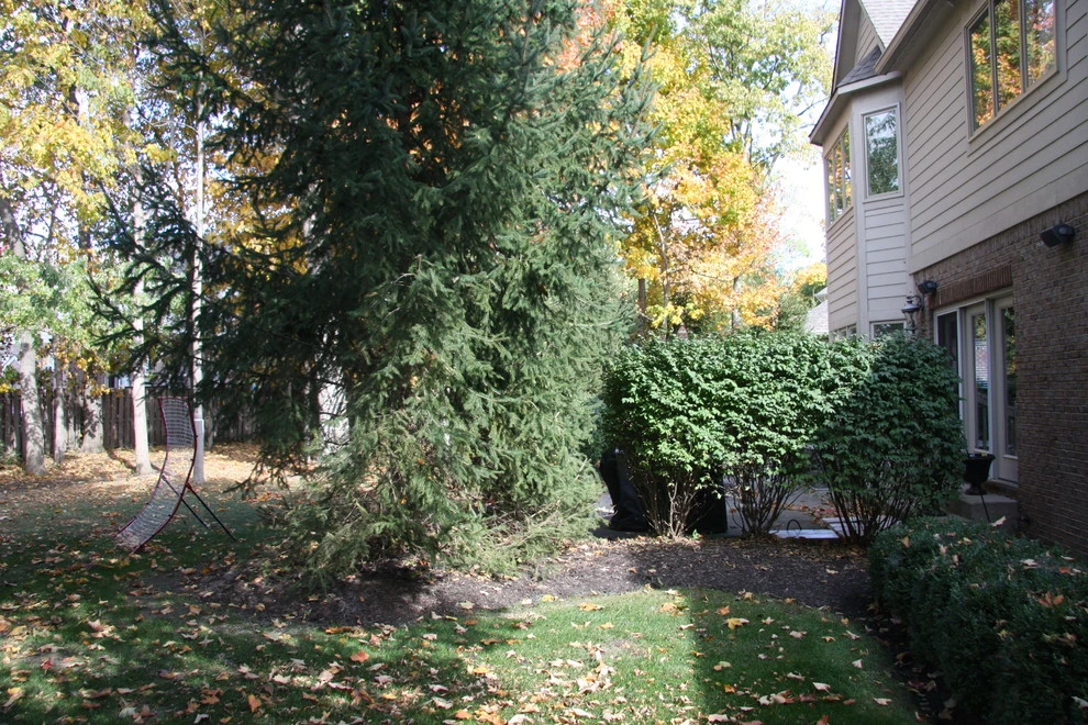 Fleming Residence by Pro Care Horticultural Services - Photo 81