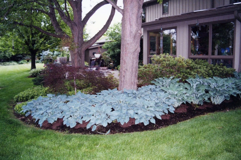 Eikenberry Residence by Pro Care Horticultural Services - Photo 56