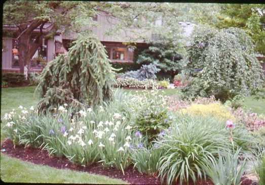 Eikenberry Residence by Pro Care Horticultural Services - Photo 44