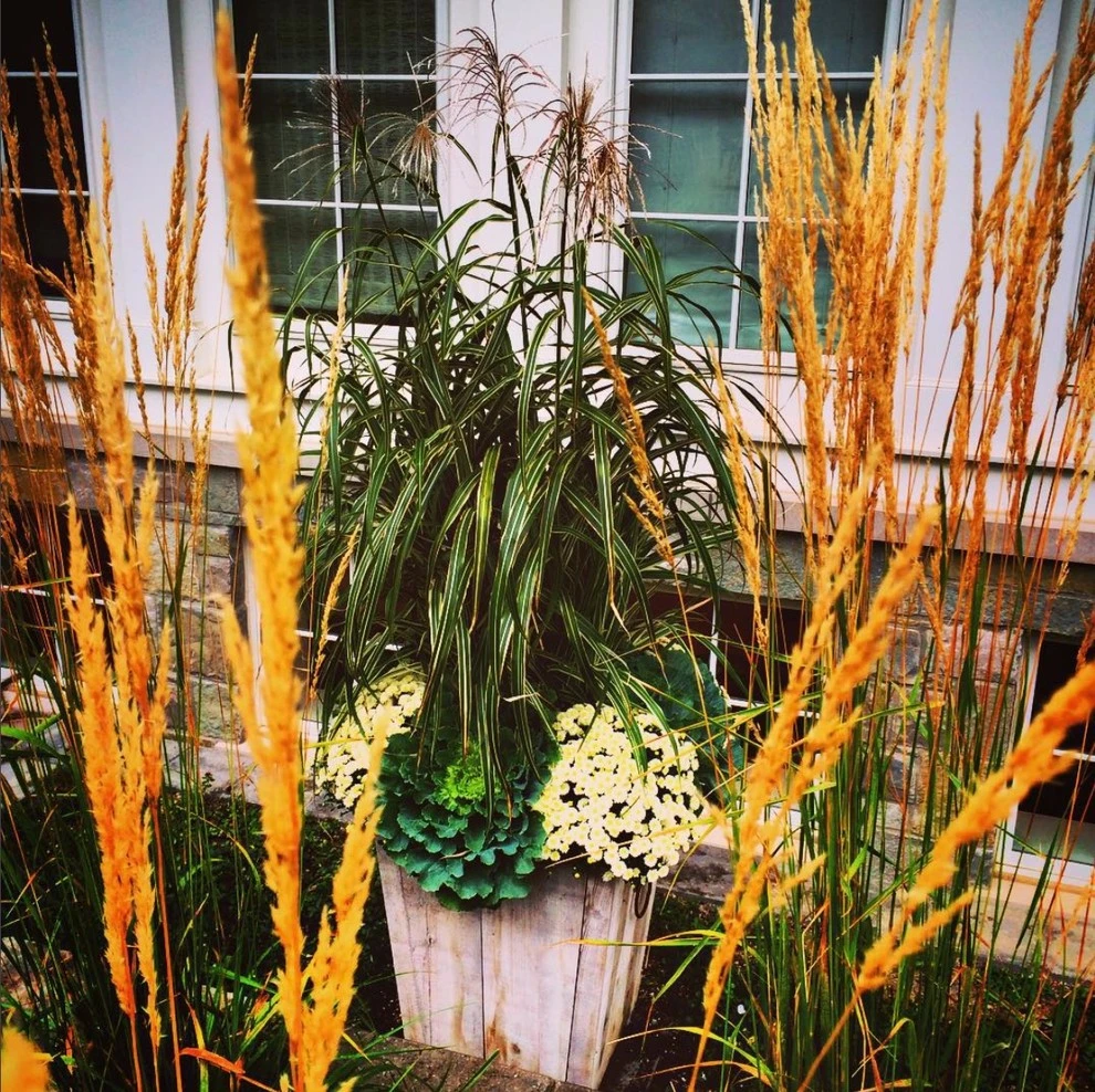 Planters by R.Youngblood & Co. - Photo 12