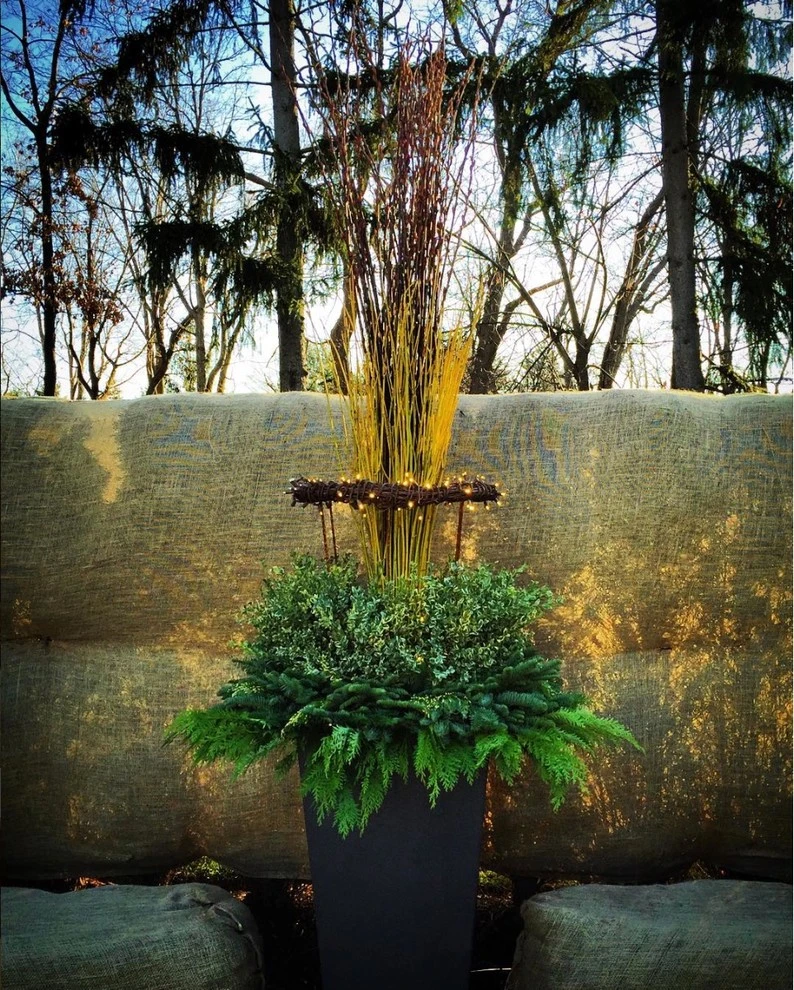 Planters by R.Youngblood & Co. - Photo 20