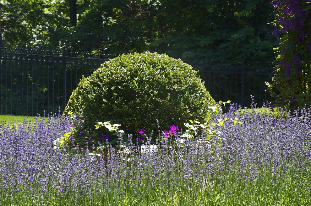Planters by R.Youngblood & Co. - Photo 21