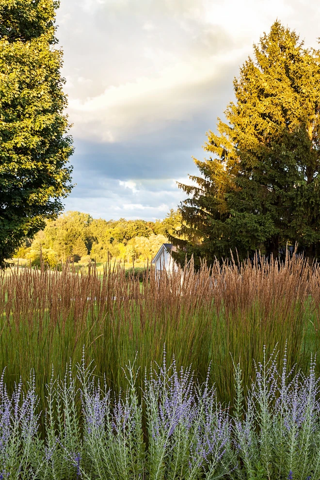 Iron Bridge Farms Private Residence by R.Youngblood & Co. - Photo 4