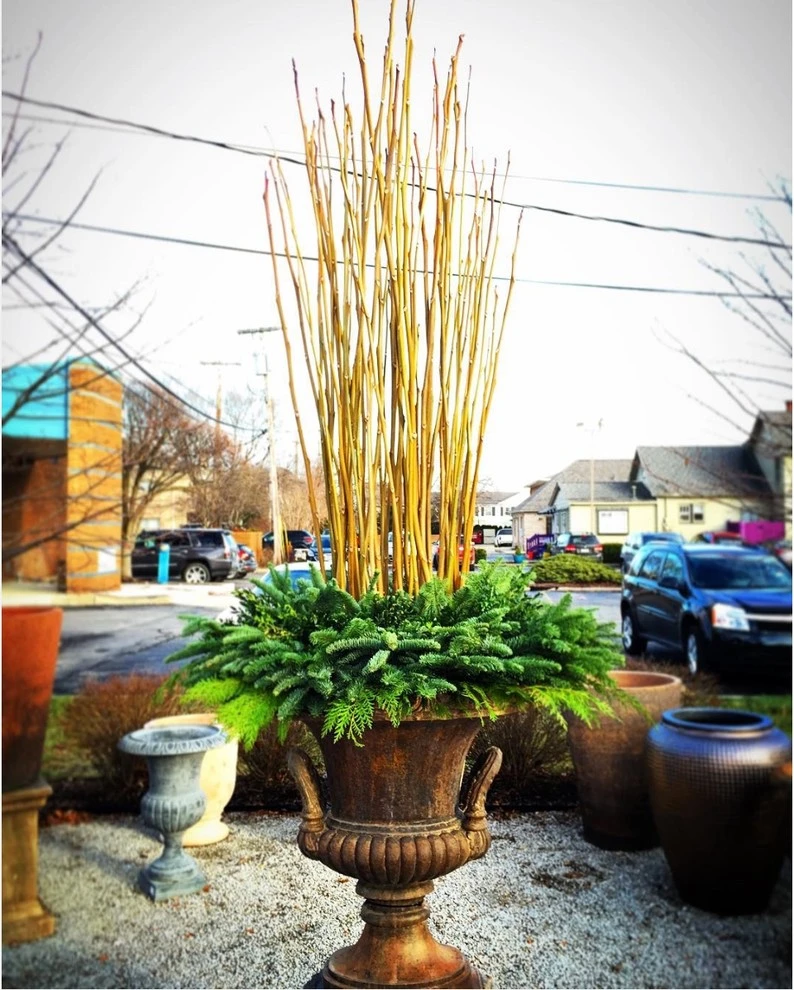 Planters by R.Youngblood & Co. - Photo 23