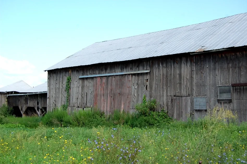 Repurposed Barn Garage by New Energy Works Timberframers - Photo 4