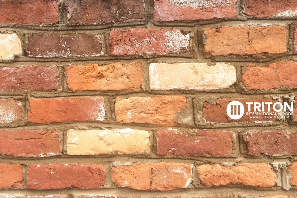 Repurposed Bricks by Triton International Woods - Photo 3