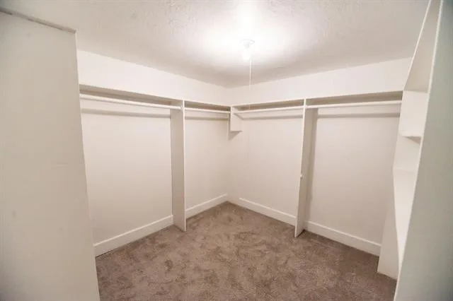 Complete Home Enhancement by Built Dfw - Photo 240