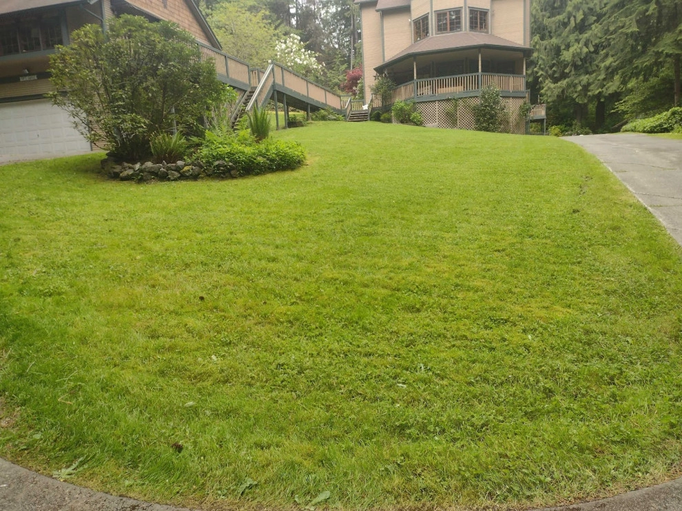 Sanchez Landscaping LLC 4 by Sanchez Landscaping LLC - Photo 2