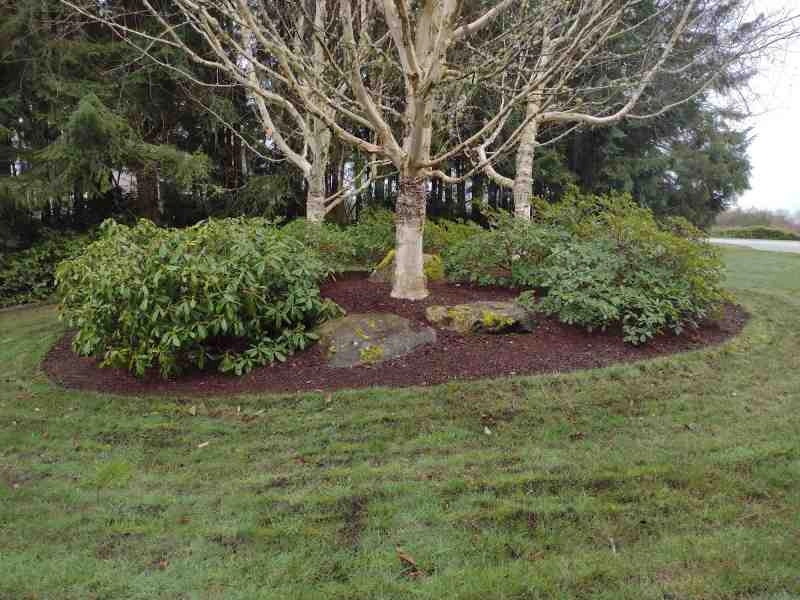 Sanchez Landscaping LLC - Photo 9