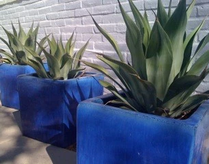 Nanette Injeski Land Design LLC - Photo 14