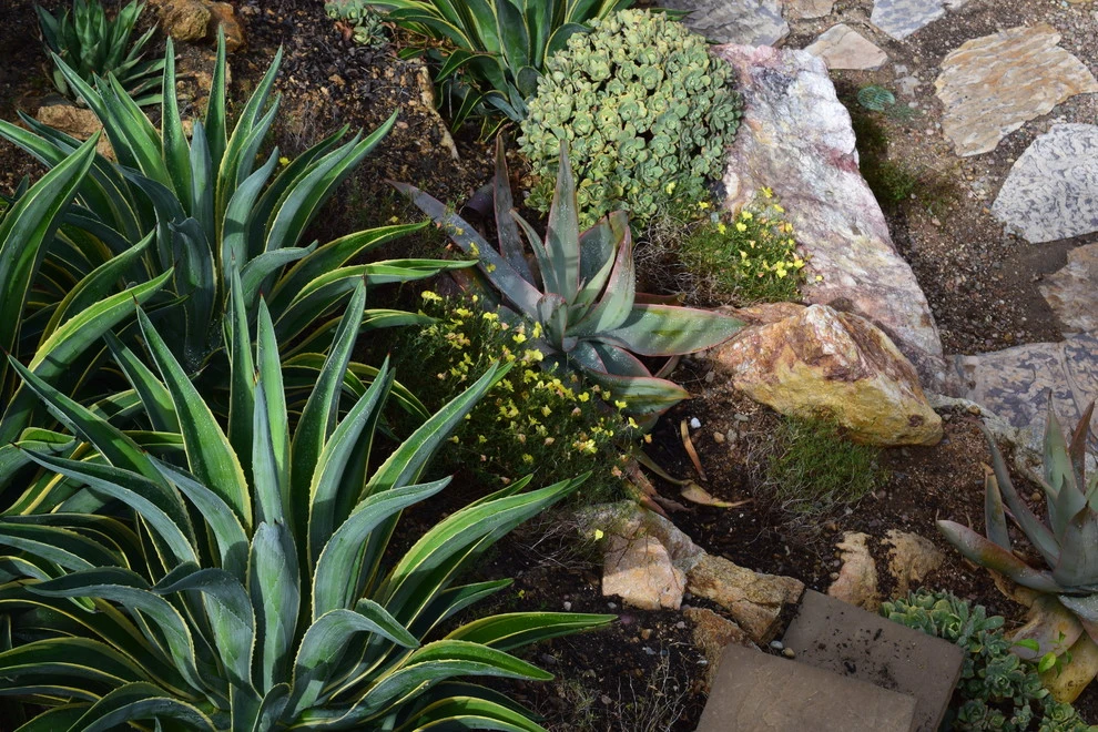Escondido Backyard Retreat by Nick Martin Landscape Architect Inc. - Photo 4