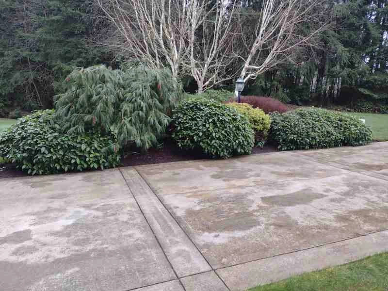 Sanchez Landscaping LLC by Sanchez Landscaping LLC - Photo 16