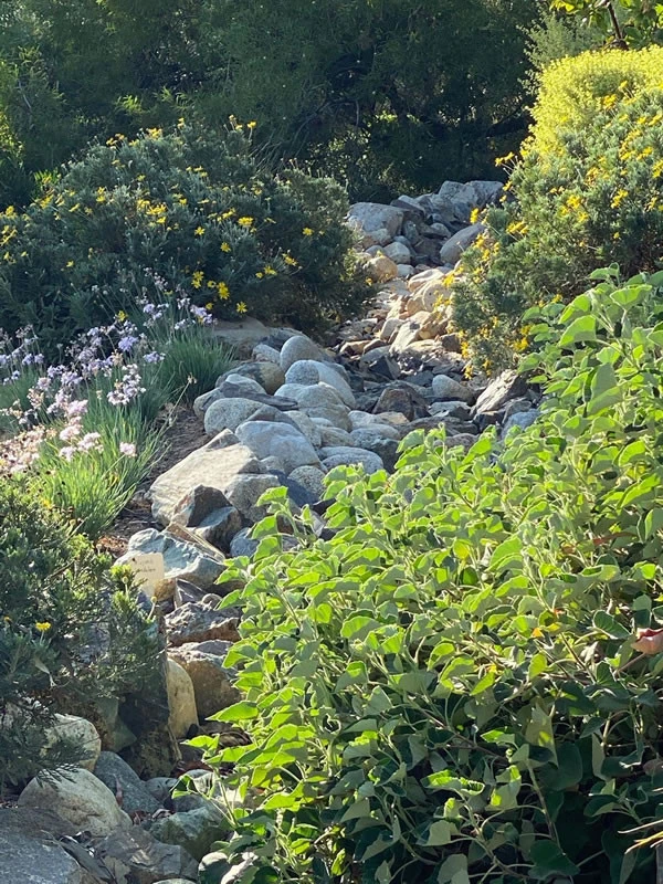 Fairbanks Ranch Landscape Architect and Design by Nick Martin Landscape Architect Inc. - Photo 4