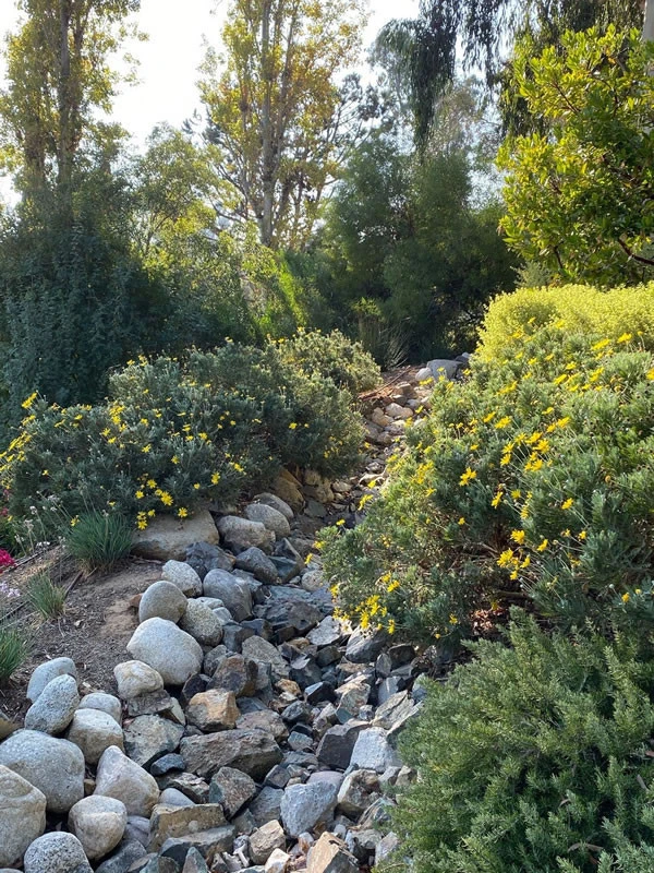 Fairbanks Ranch Landscape Architect and Design by Nick Martin Landscape Architect Inc. - Photo 5