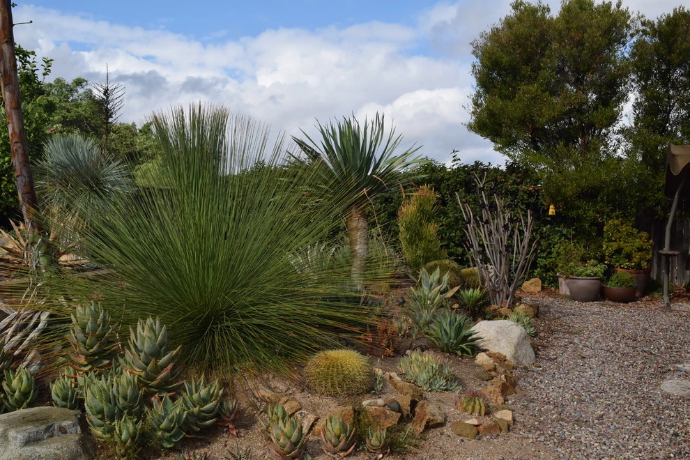 Escondido Backyard Retreat by Nick Martin Landscape Architect Inc. - Photo 2