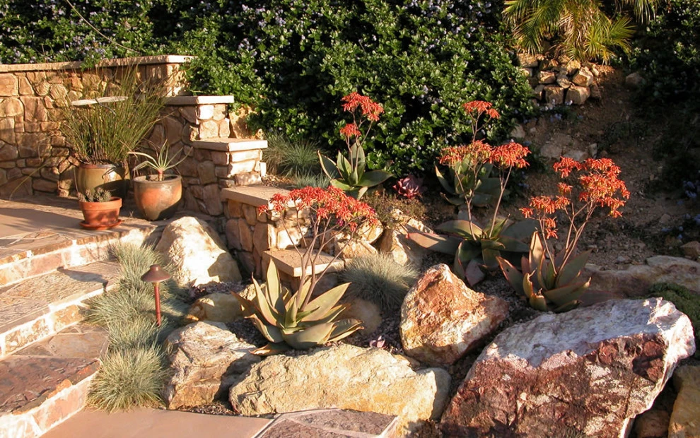 Nick Martin Landscape Architect Inc. - Photo 14