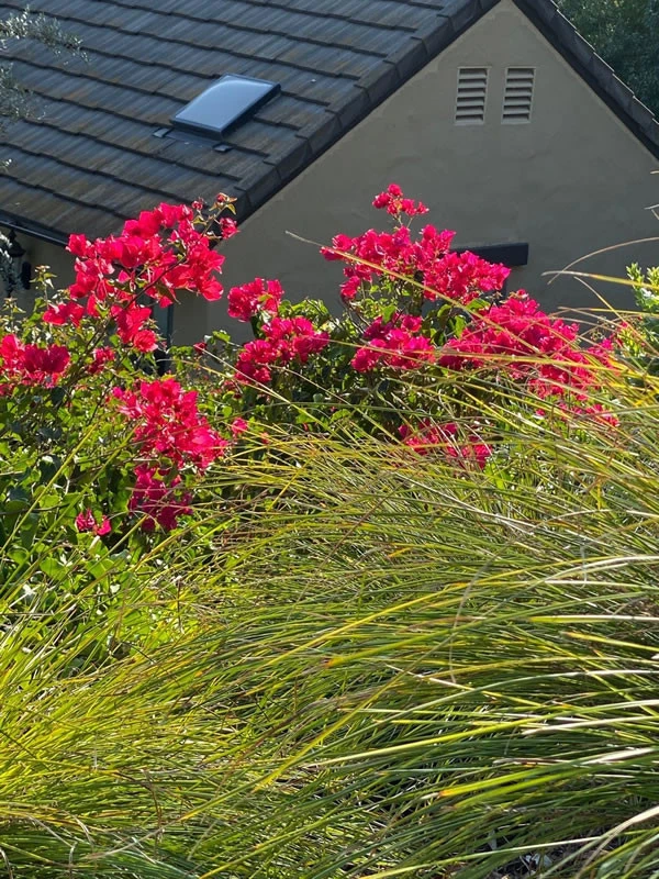 Fairbanks Ranch Landscape Architect and Design by Nick Martin Landscape Architect Inc. - Photo 2