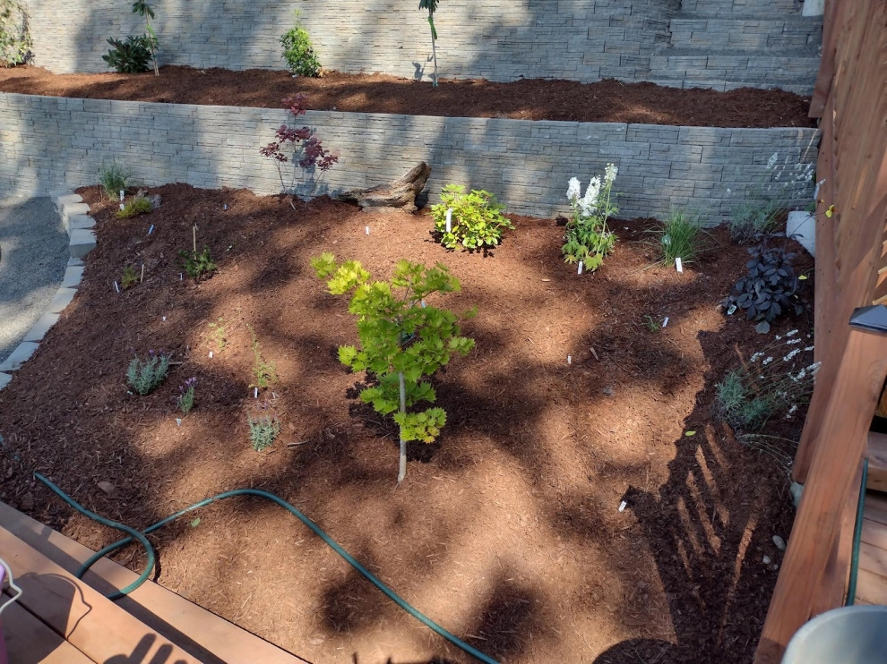 Sanchez Landscaping LLC by Sanchez Landscaping LLC - Photo 47