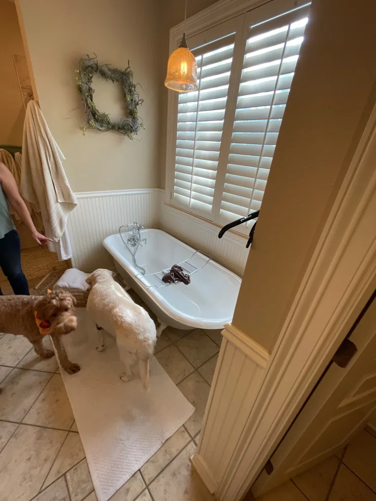 Leander Whole Home Renovation - Scenic Path by TRS Build - Photo 69