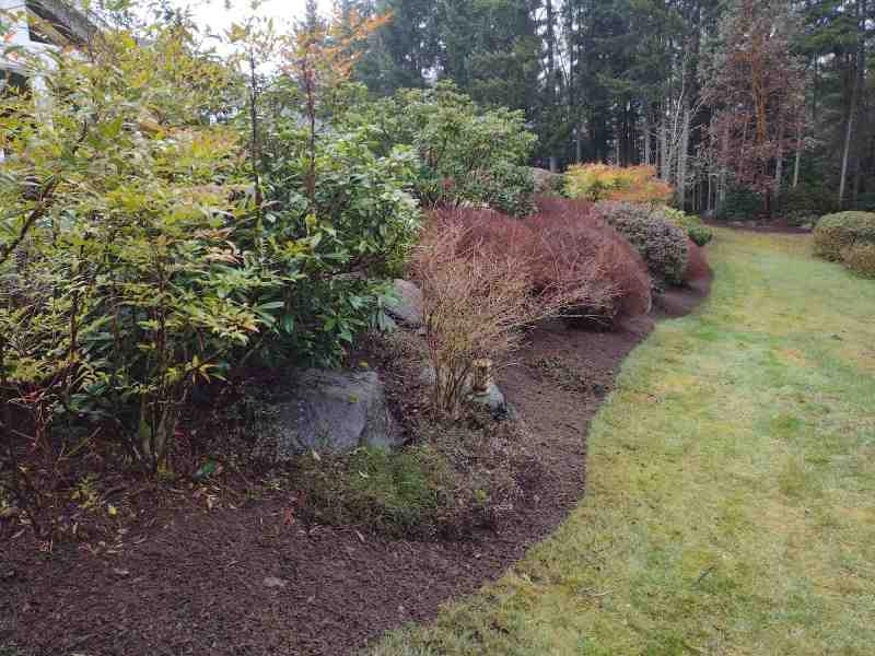 Sanchez Landscaping LLC - Photo 10