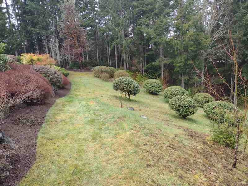 Sanchez Landscaping LLC by Sanchez Landscaping LLC - Photo 13