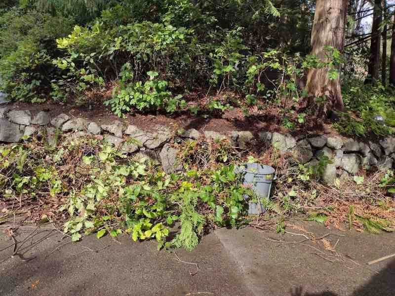 Sanchez Landscaping LLC by Sanchez Landscaping LLC - Photo 31