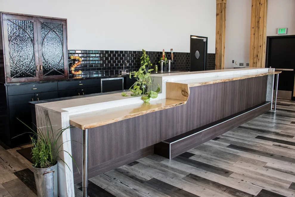 Skyline Suite by Ethos Design+Build | Remodel - Photo 6
