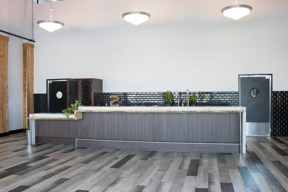 Ethos Design+Build | Remodel - Photo 2