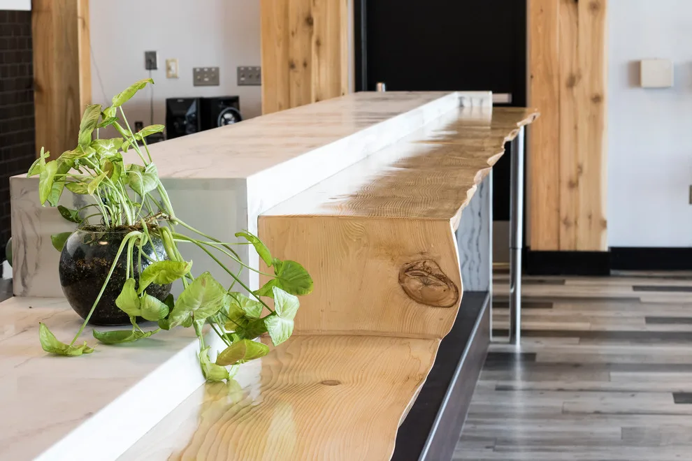 Skyline Suite by Ethos Design+Build | Remodel - Photo 5