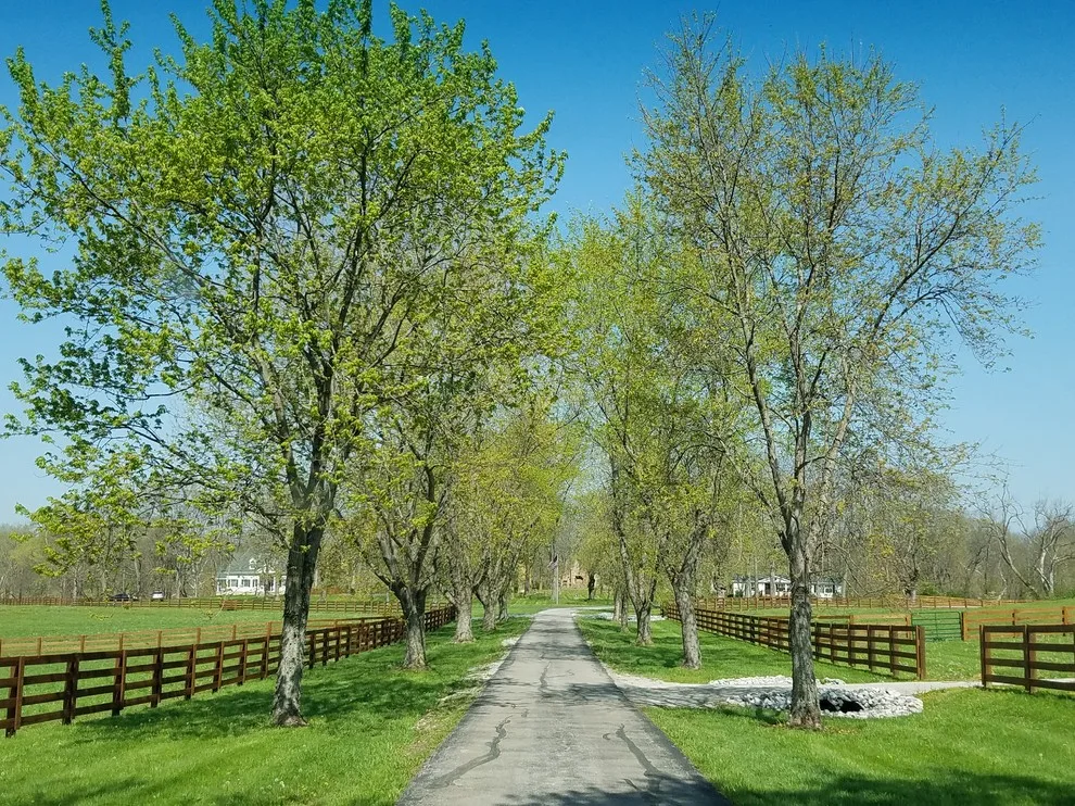 Equestrian Showcase Platform by Bennett Clark Properties - Photo 5