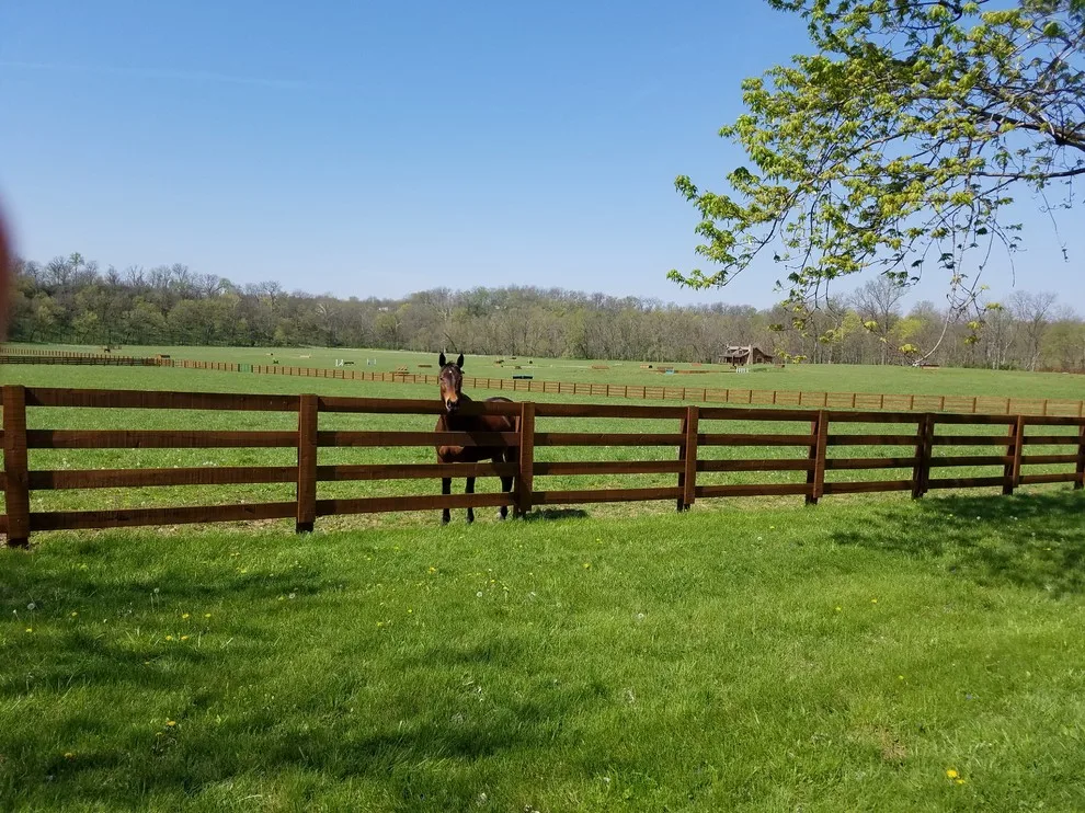 Equestrian Showcase Platform by Bennett Clark Properties - Photo 2