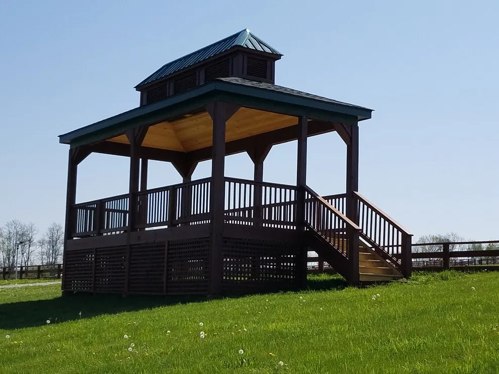 Equestrian Showcase Platform by Bennett Clark Properties - Photo 14