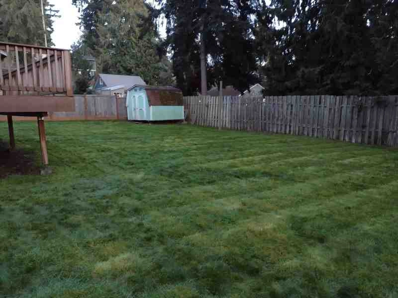 Sanchez Landscaping LLC - Photo 3