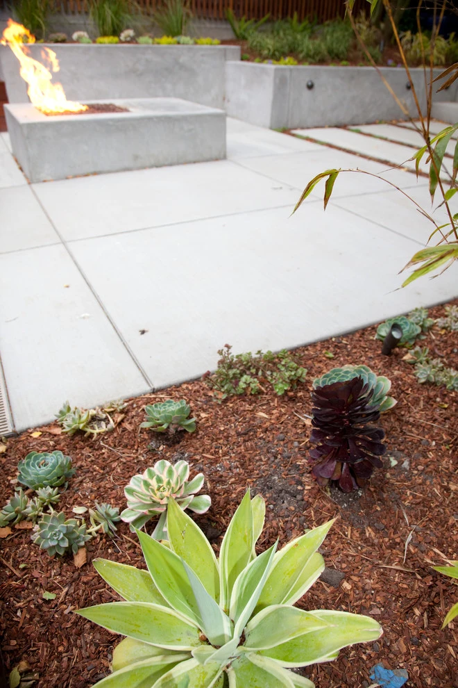 Cole Valley Modern by The Garden Route Company - Photo 10