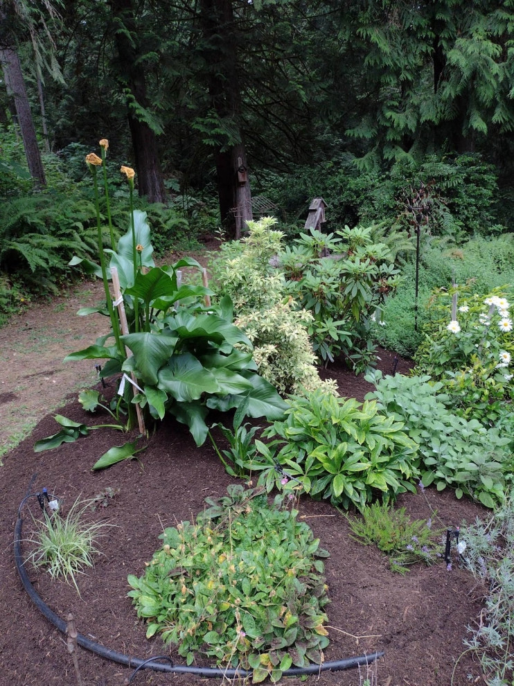 Sanchez Landscaping LLC by Sanchez Landscaping LLC - Photo 49