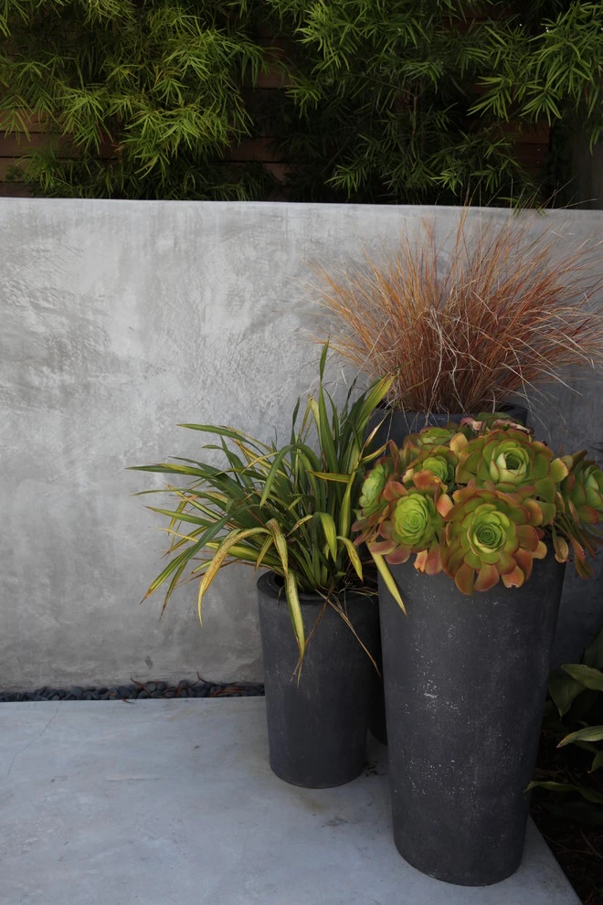 City Oasis by The Garden Route Company - Photo 6