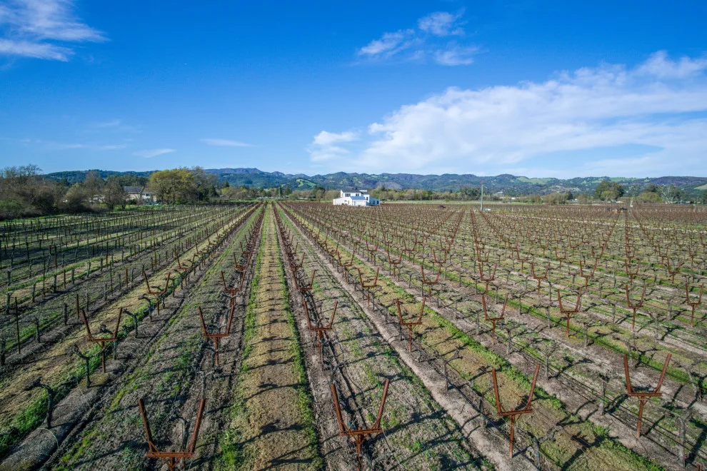 Sonoma Wine Country Residence by The Custom Home Company - Photo 8