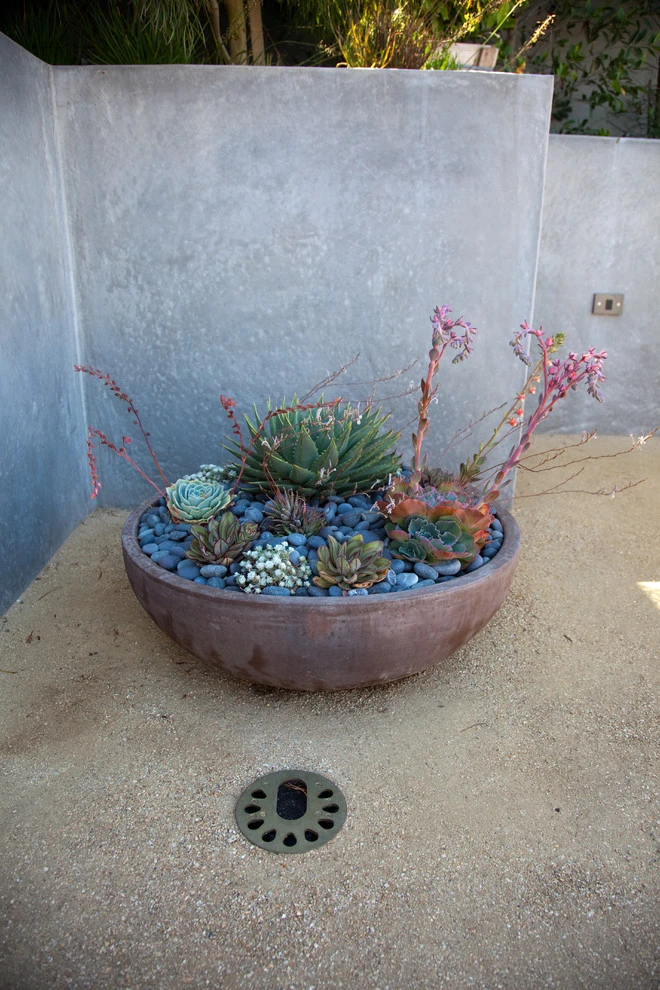 San Francisco Modern by The Garden Route Company - Photo 15