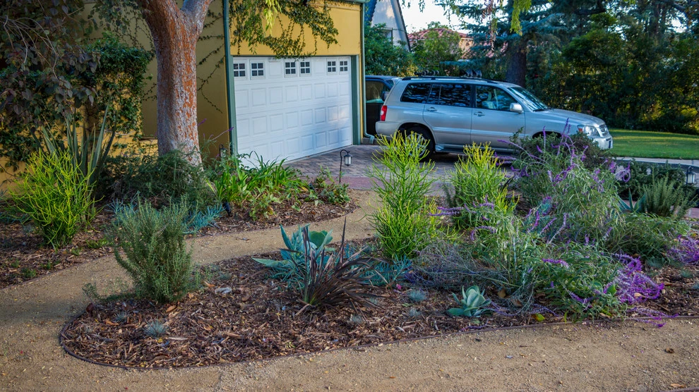 Landscapes by Pacific Outdoor Living - Photo 9