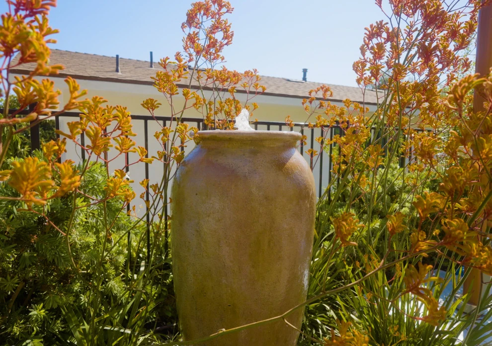 Backyard Remodel by Pacific Outdoor Living - Photo 4