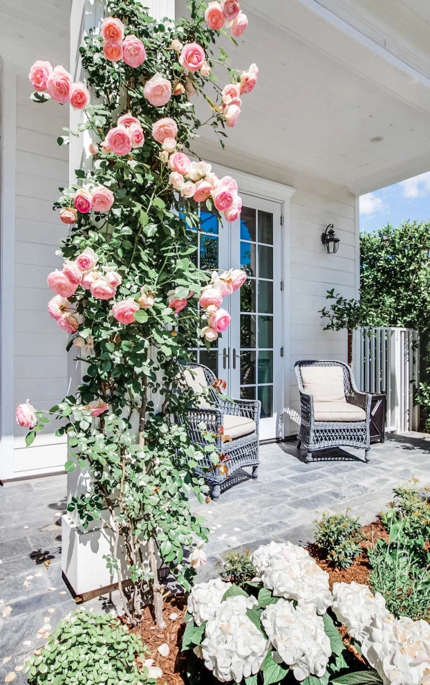 Brentwood Charm by Paradise Gardens Landscape Design Inc - Photo 4