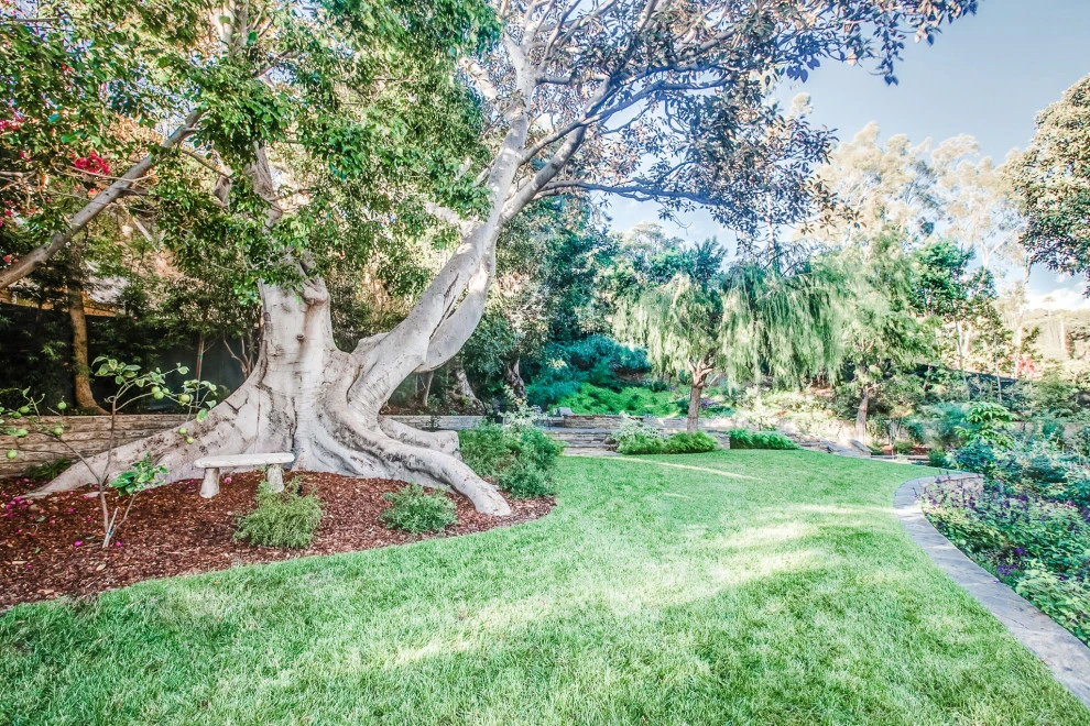 Los Feliz by Paradise Gardens Landscape Design Inc - Photo 13
