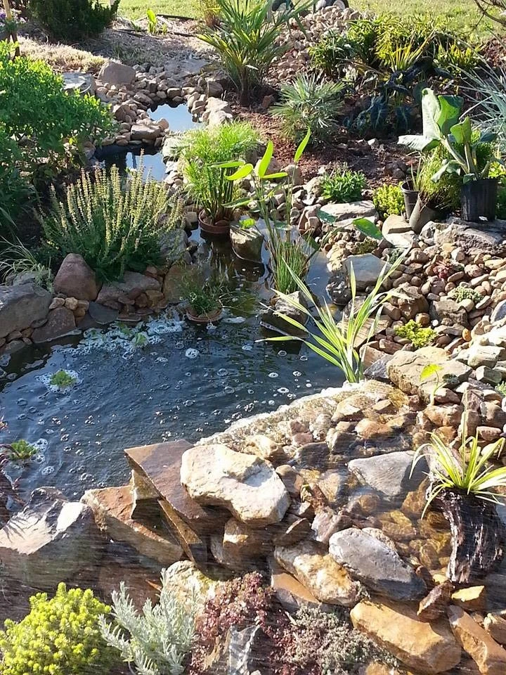 Various Projects by Plant Man - Photo 3