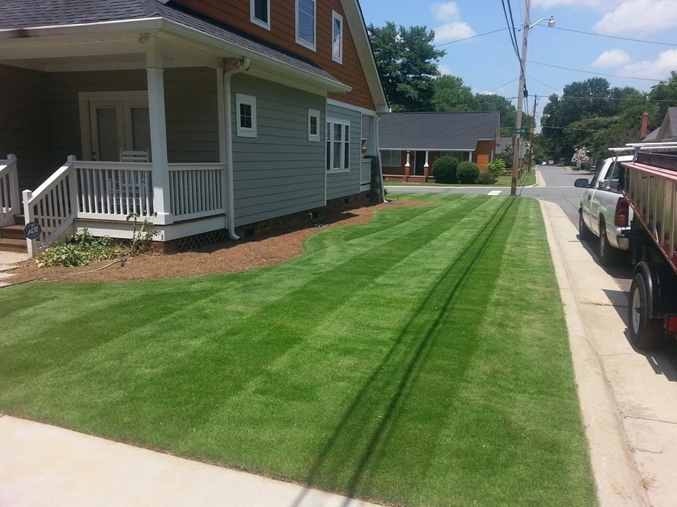 Various Projects by Plant Man - Photo 5