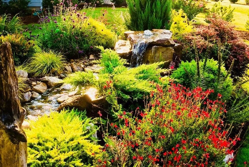 Water Feature by Plant Man - Photo 3