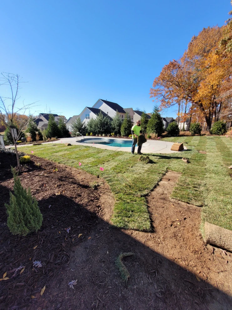 Pool Side Landscape by Plant Man - Photo 11