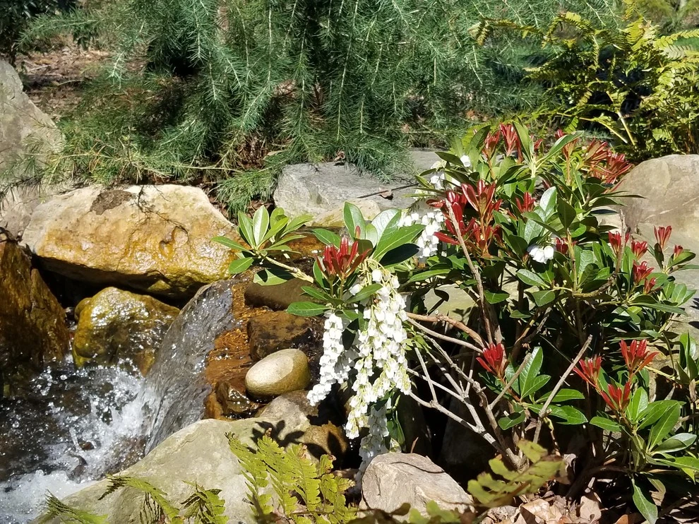 Various Projects by Plant Man - Photo 4