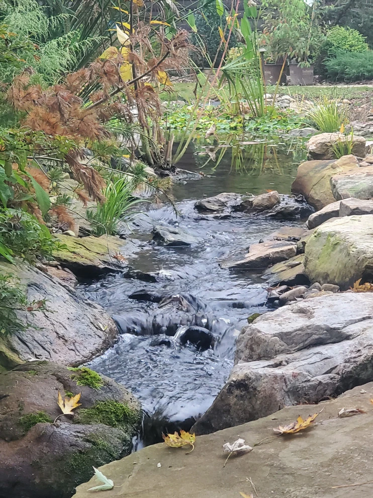Stream side stroll by Plant Man - Photo 3