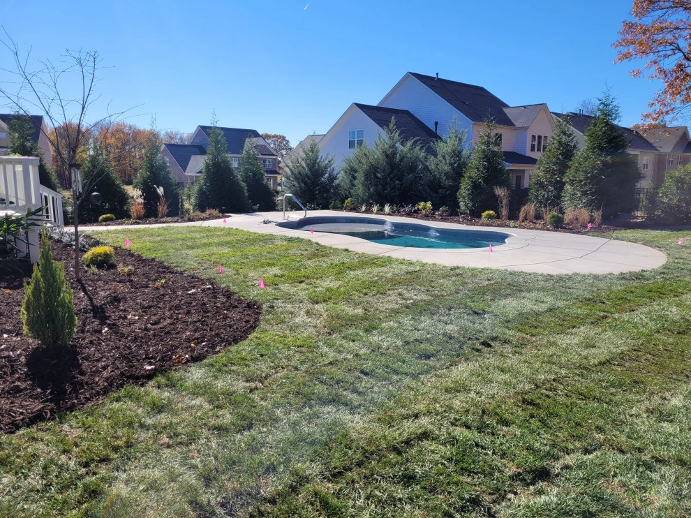 Pool Side Landscape by Plant Man - Photo 8