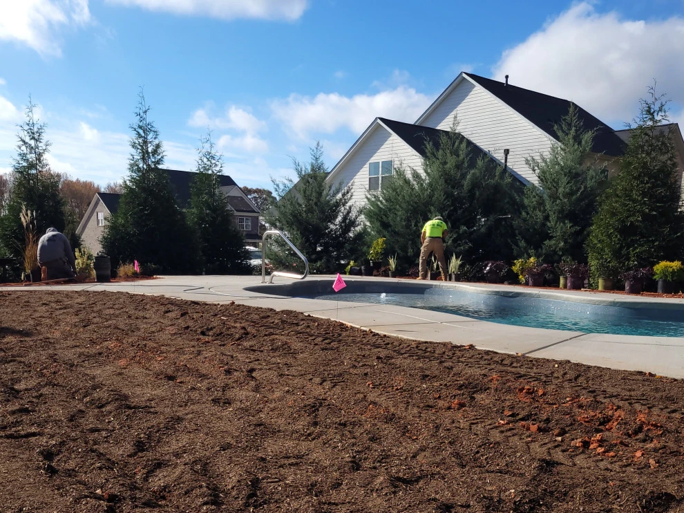 Pool Side Landscape by Plant Man - Photo 6